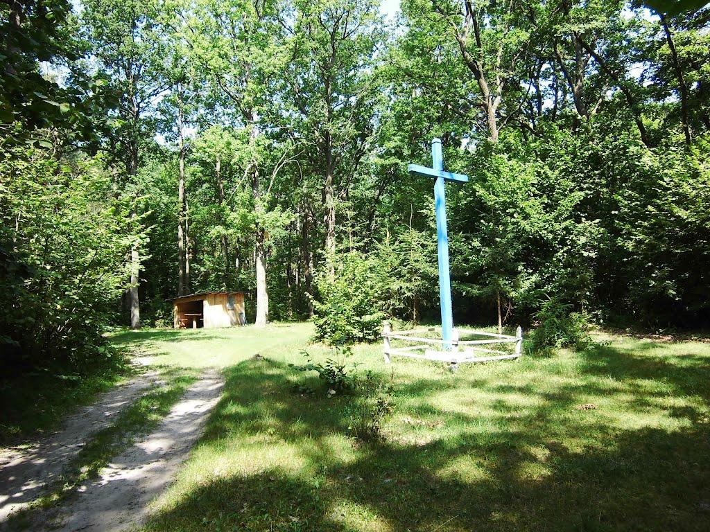 Поляна з panoramio.com - Поляна