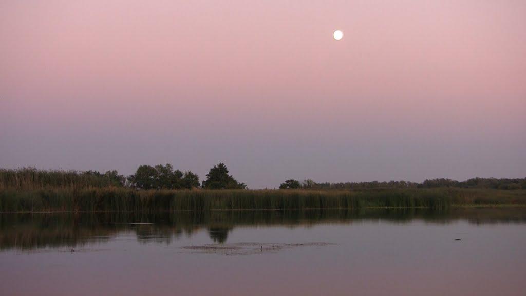 Вільховатка з panoramio.com - Вільховатка