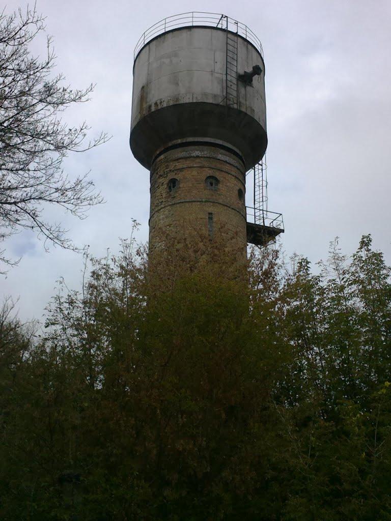 Щасливе з panoramio.com - Щасливе