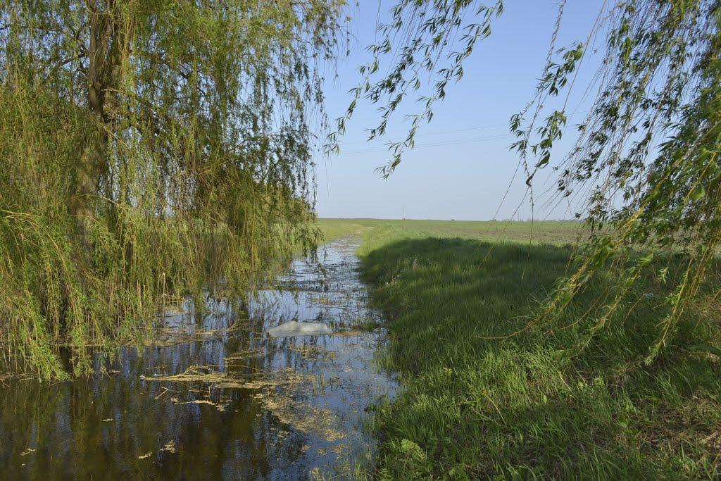 Знам'янка з panoramio.com - Знаменка