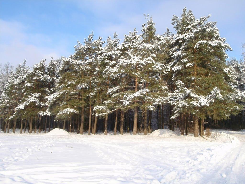 Костопіль з panoramio.com