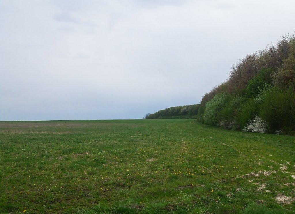 Вільшаниця з panoramio.com - Вільшаниця