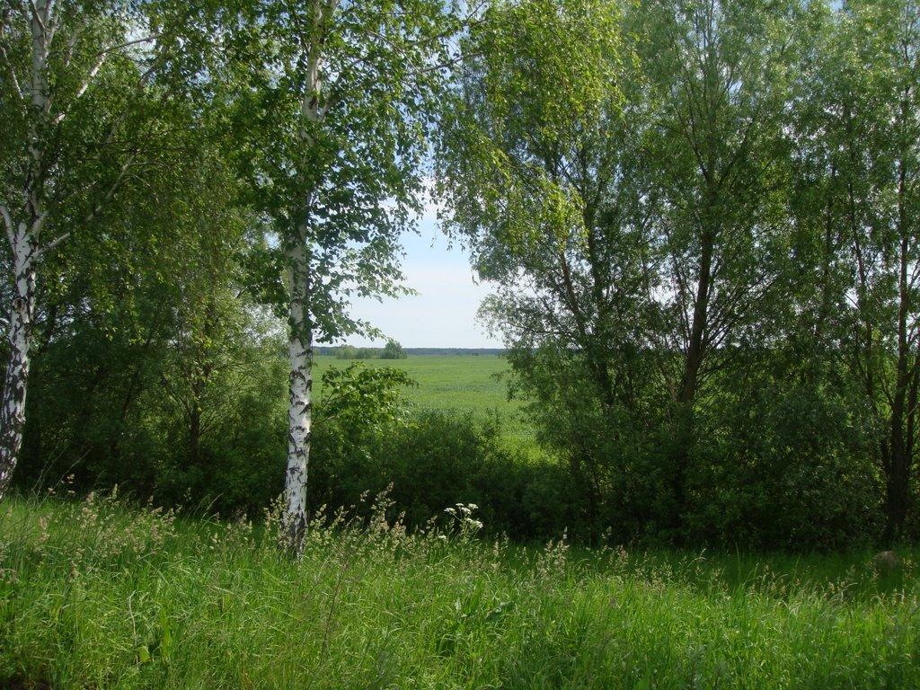 Переяслівка з panoramio.com - Переяслівка