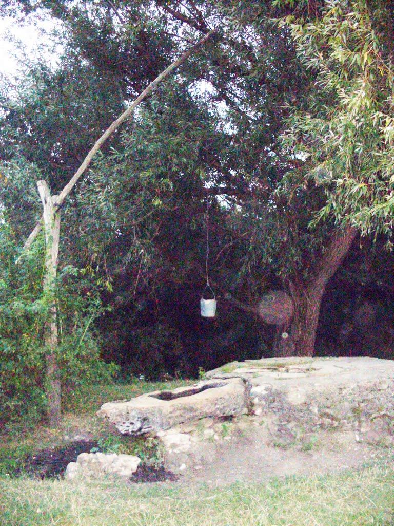 Велика Кісниця з panoramio.com - Велика Кісниця