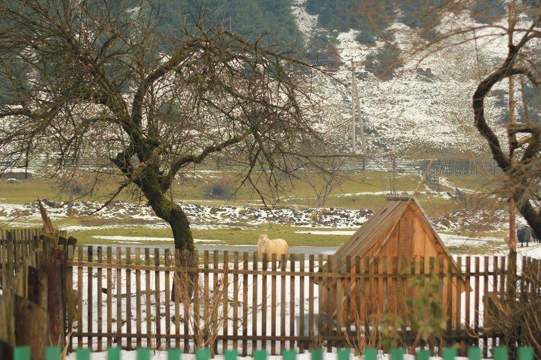 Руська Мокра з panoramio.com - Руська Мокра