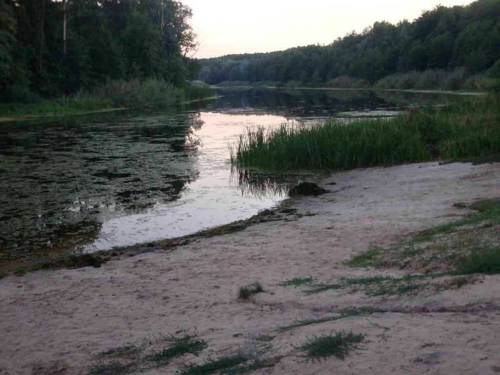 Кремінна з panoramio.com - Кремінна