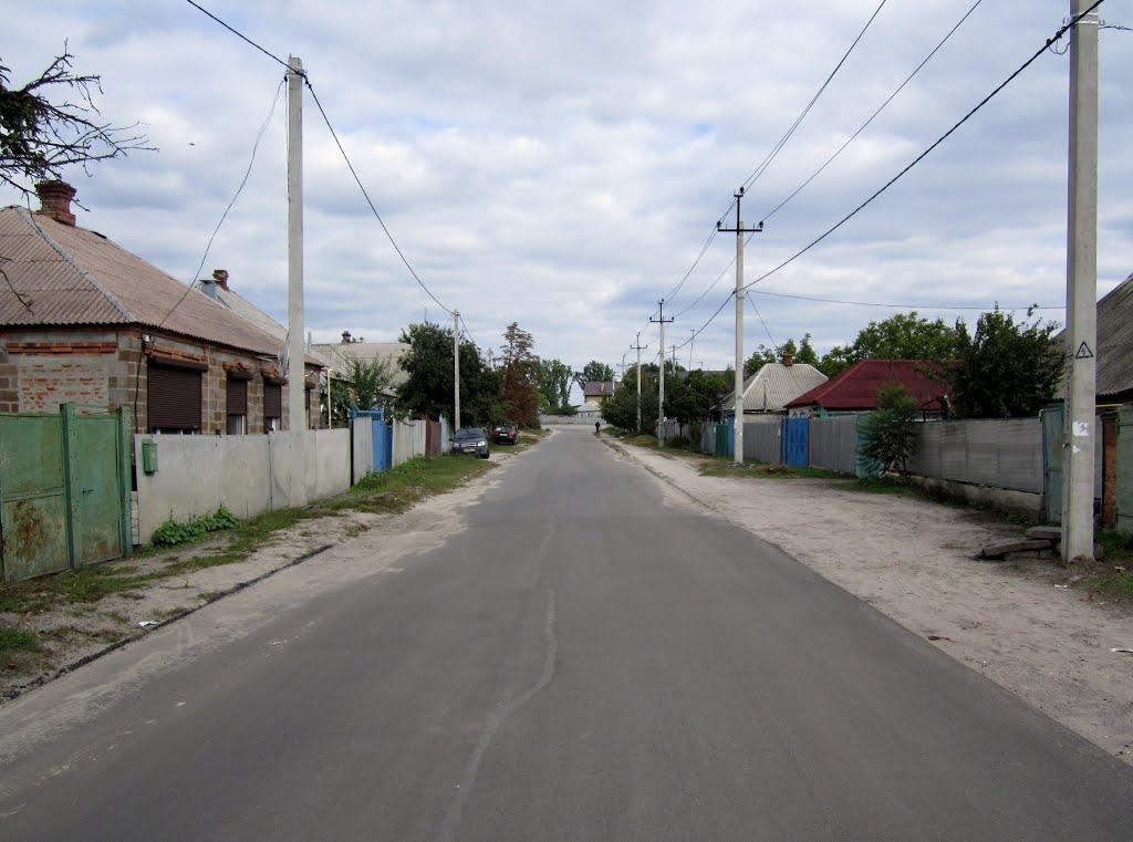 Безлюдівка з panoramio.com (ч.2) - Безлюдівка