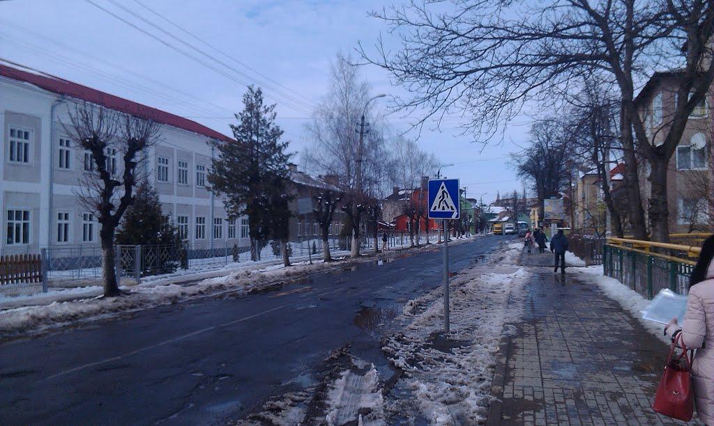 Сторожинець з panoramio.com - Сторожинець