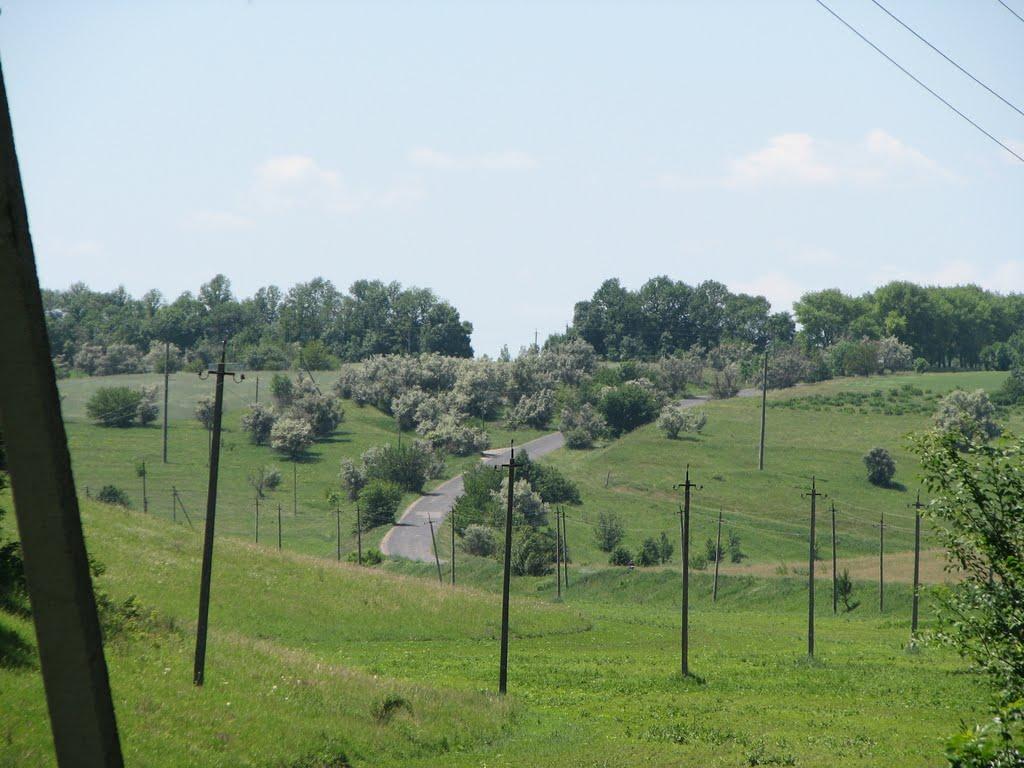 Снопове з panoramio.com - Сноповое