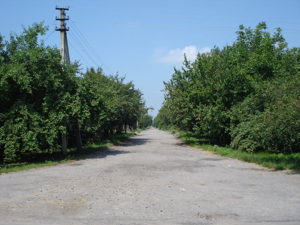 Вереміївка з panoramio.com - Веремиевка