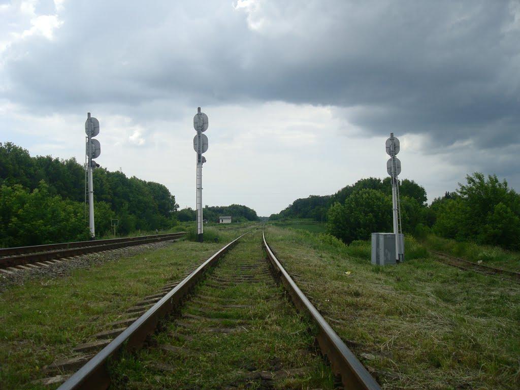 Шепетівка з panoramio.com (ч.2) - Шепетовка