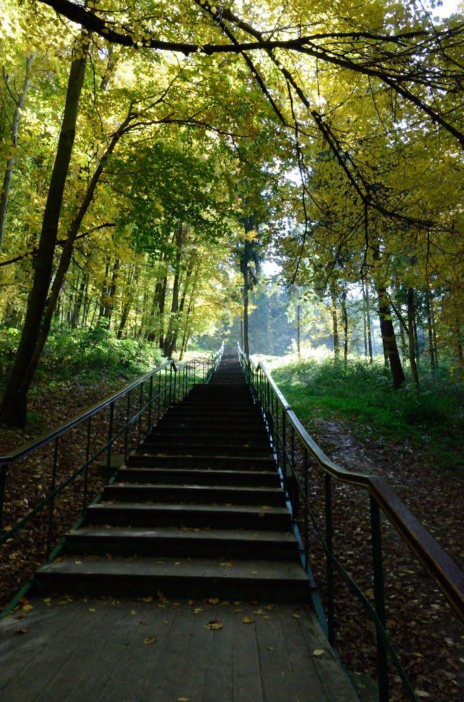 Унів з panoramio.com - Унив