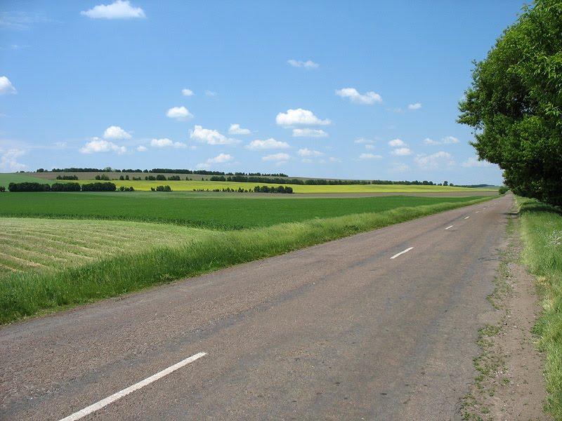 Новоселиця з panoramio.com - Новоселиця