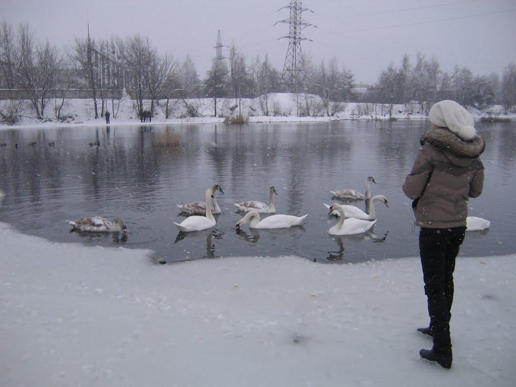 Малин з panoramio.com - Малин