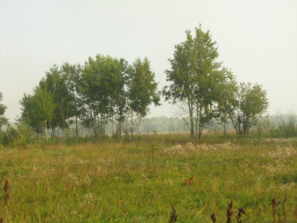 Осещина з panoramio.com - Oseschyna