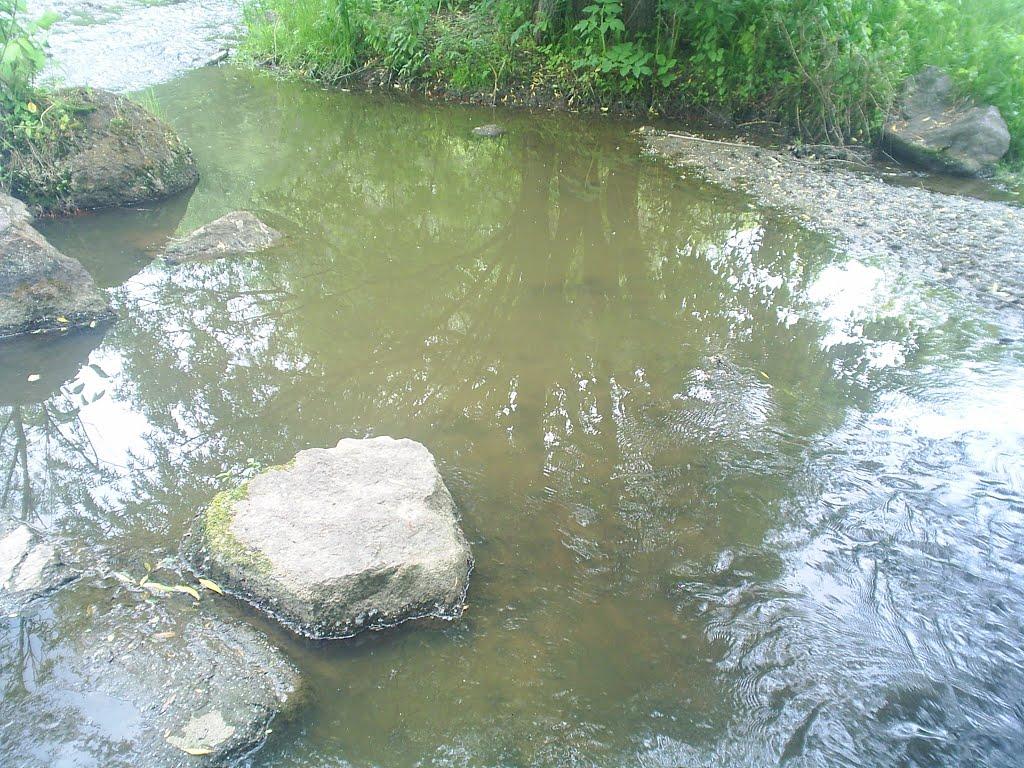 Брідок з panoramio.com - Брідок