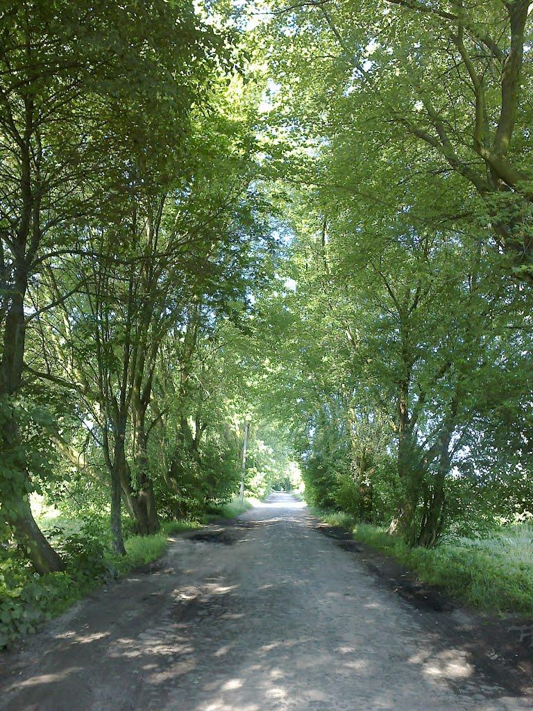 Камінь-Каширський з panoramio.com - Камінь-Каширський