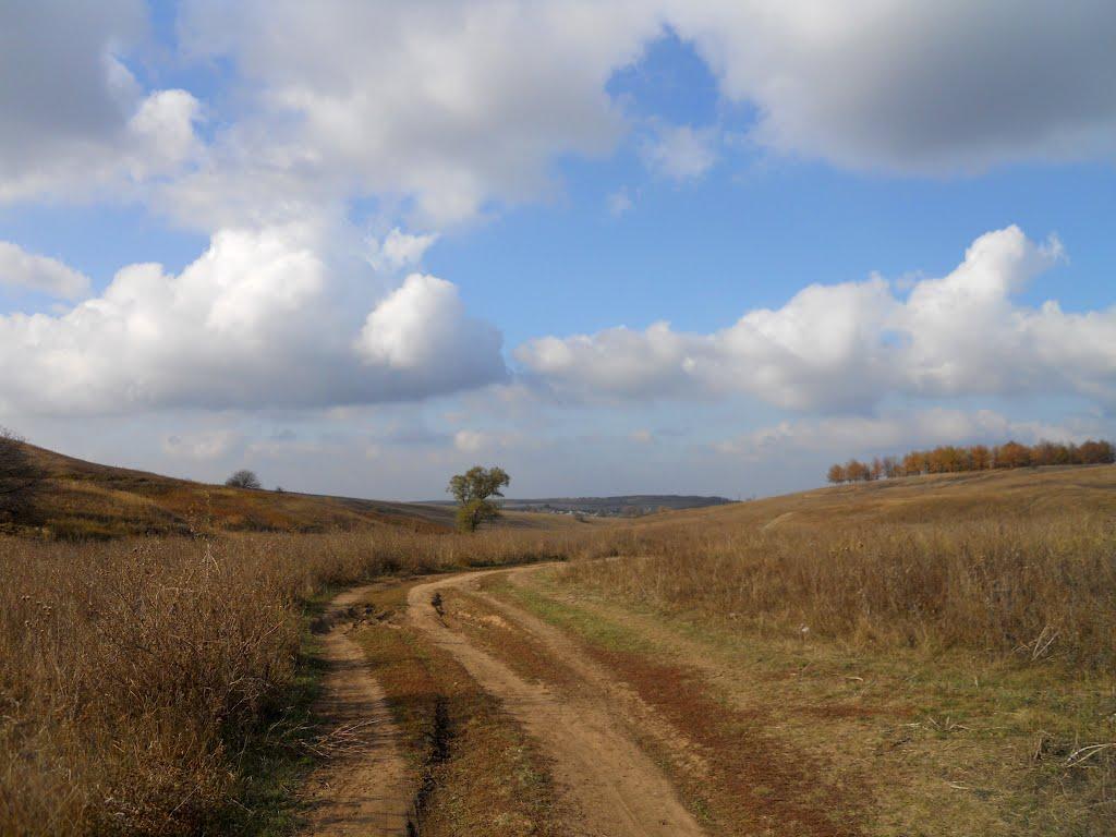 Вільшани з panoramio.com - Vilshany