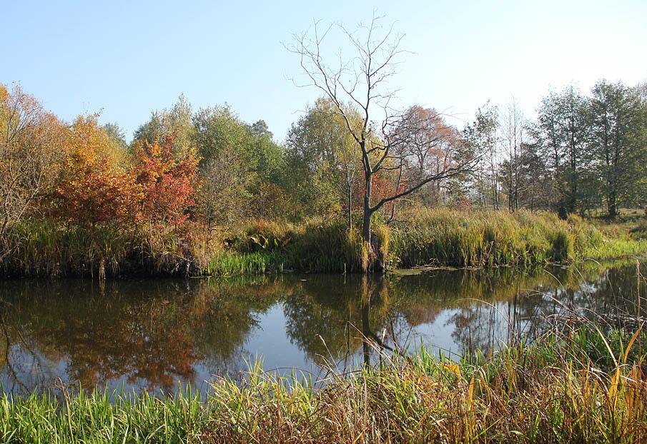 Боремщина з panoramio.com - Боремщина