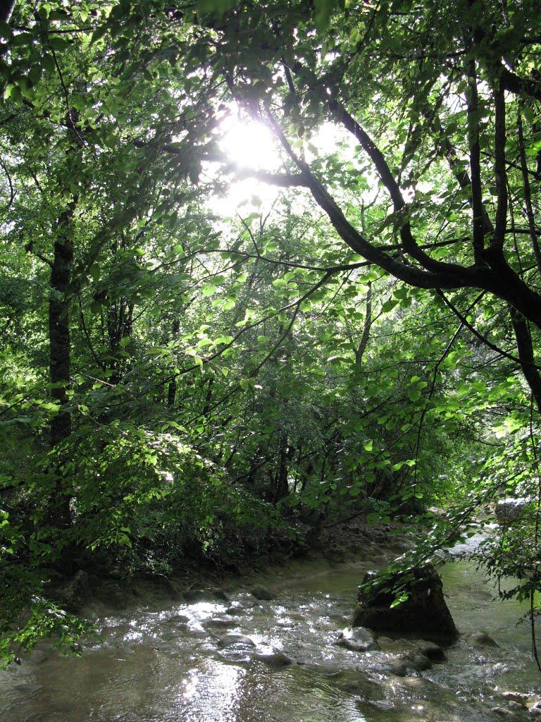Колхозне з panoramio.com - Колхозное