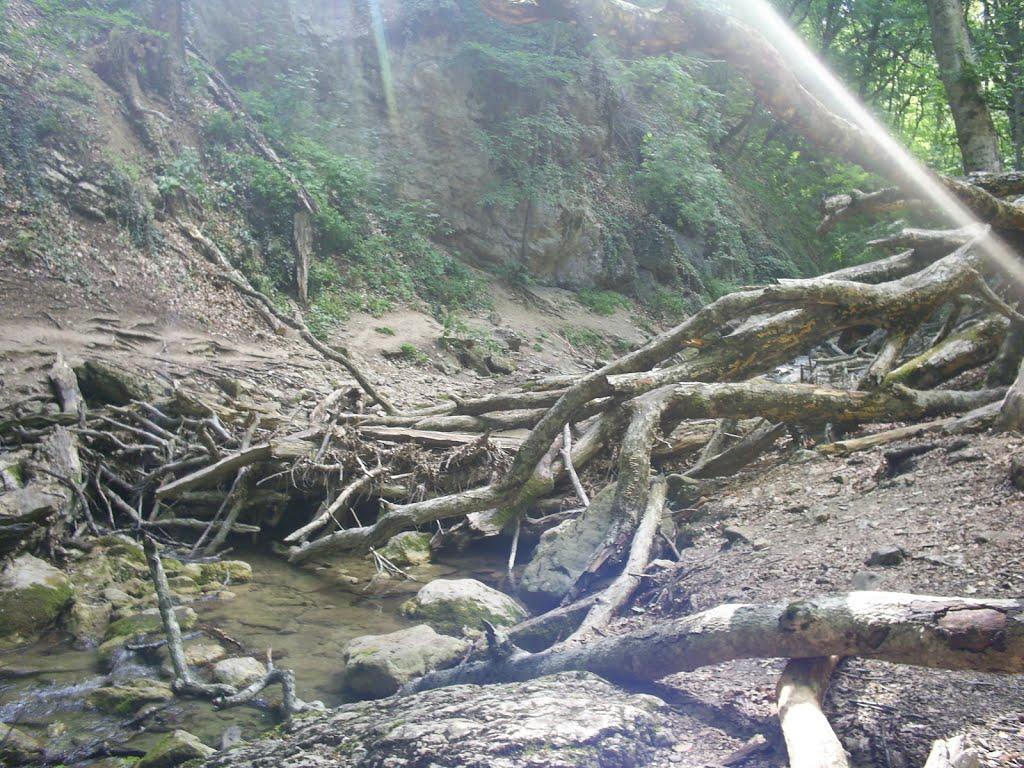 Генеральське з panoramio.com (ч.3) - Generalske
