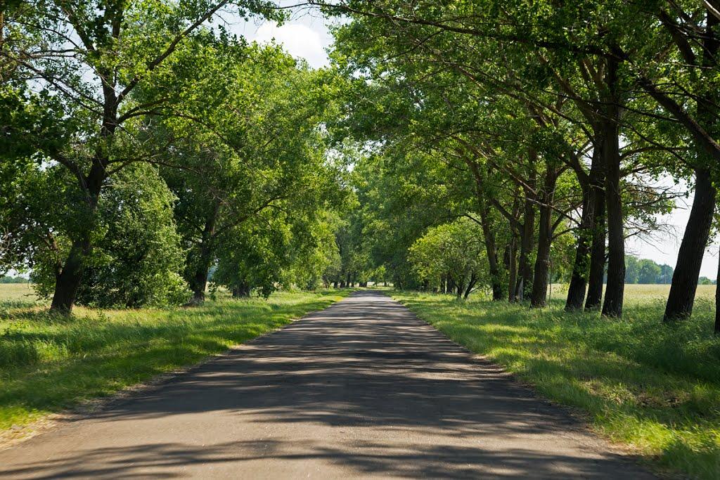 Замостя з panoramio.com - Замостя