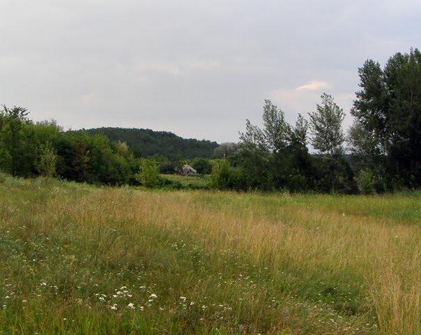 Софіївка з panoramio.com - Софиевка
