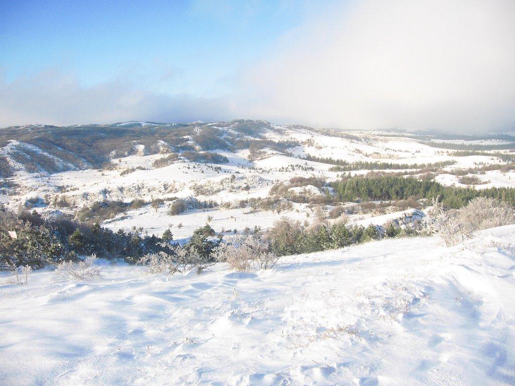 Голуба Затока з panoramio.com (ч.2) - Голуба Затока