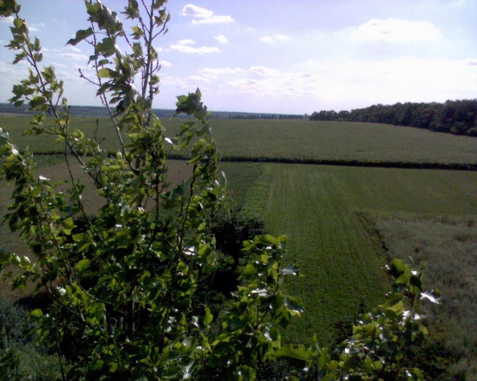 Червона Нива з panoramio.com - Червона Нива