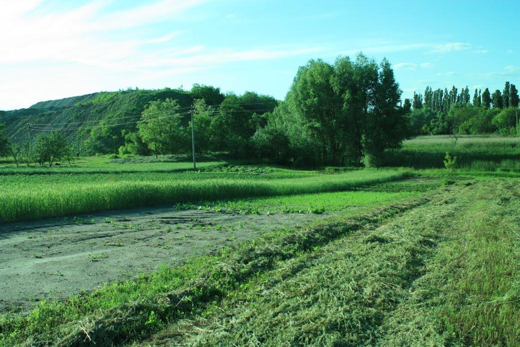 Хлистунівка з panoramio.com - Хлистунівка