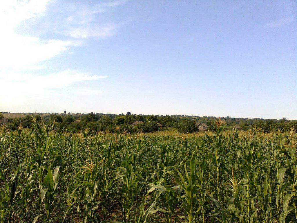 Верхня Слобідка з panoramio.com - Верхня Слобідка