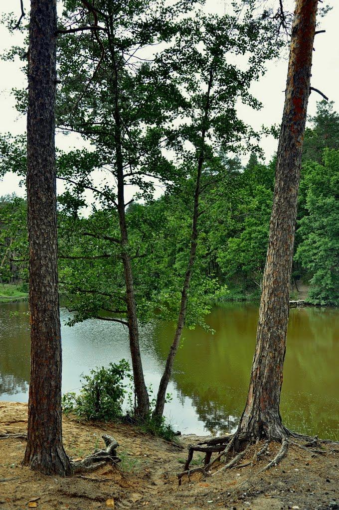 Кремінна з panoramio.com - Кременная
