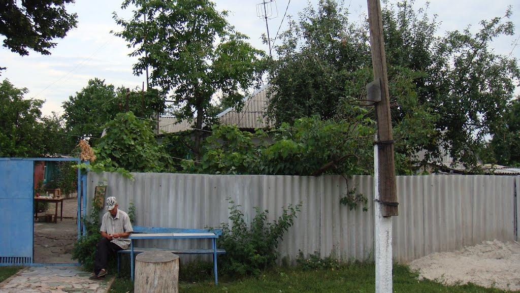 Чорноглазівка з panoramio.com - Чорноглазівка