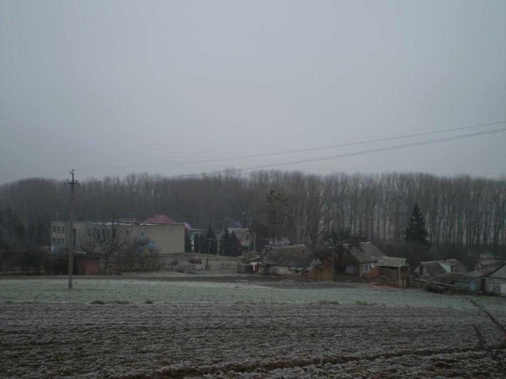 Жорнище з panoramio.com - Жорнище