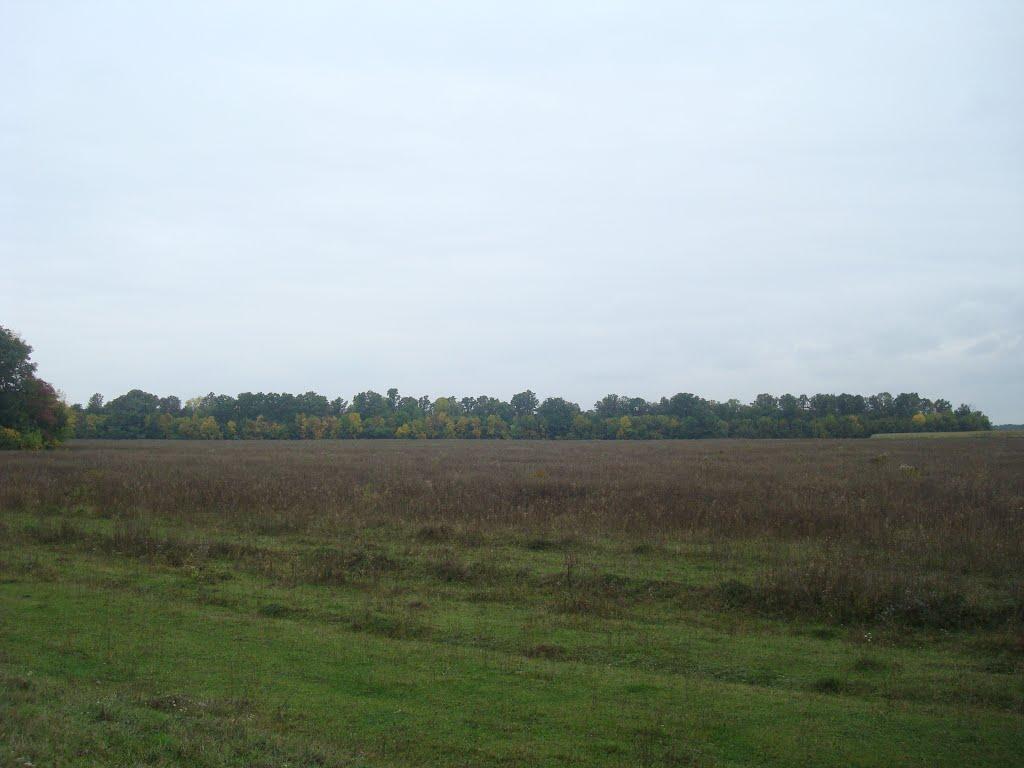 Григорівка з panoramio.com - Григорівка