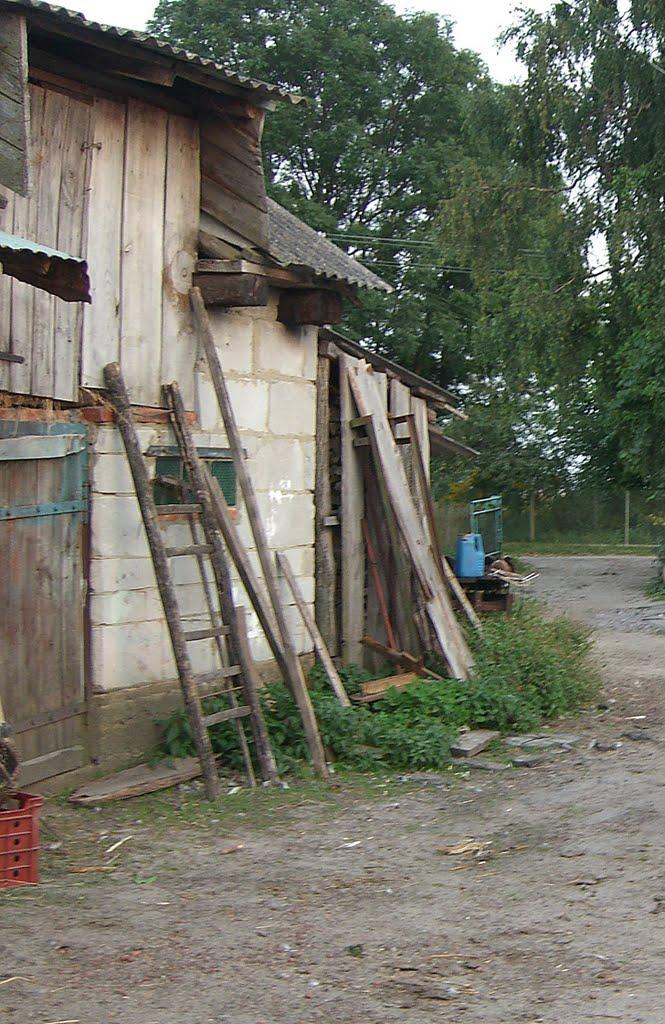 Дроздні з panoramio.com - Drozdni