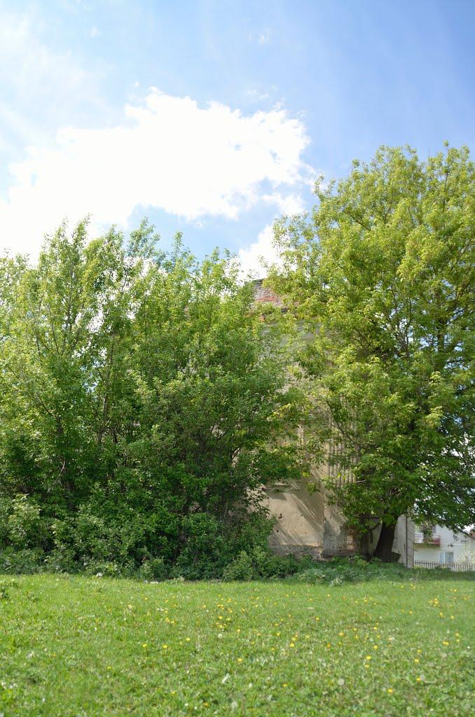 Красносільці з panoramio.com - Красносельцы