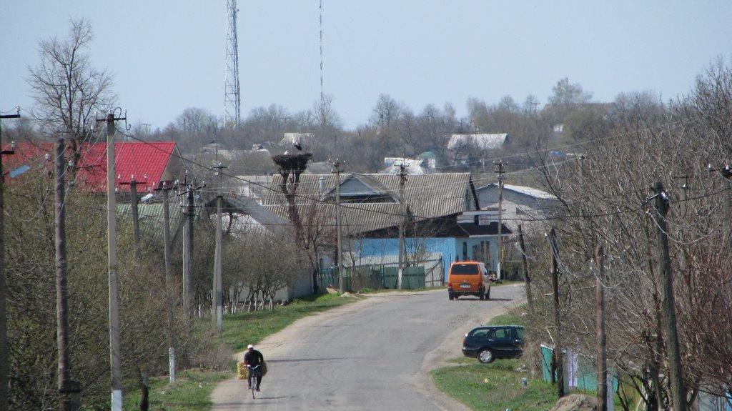 Клебань з panoramio.com - Клебань