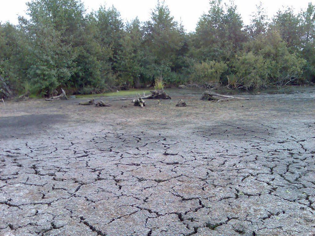 Брониця з panoramio.com - Брониця