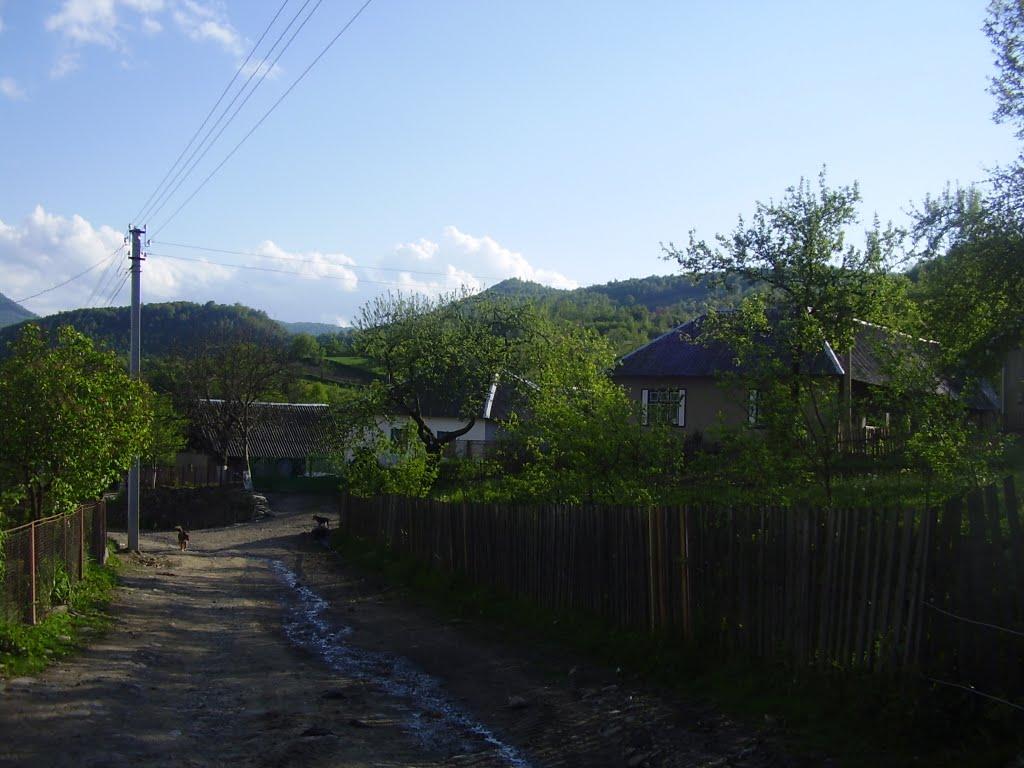 Домашин з panoramio.com - Домашин