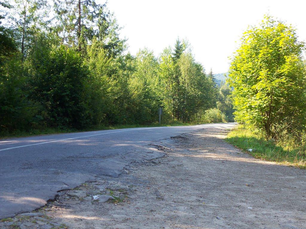 Новий Мізунь з panoramio.com - Новий Мізунь