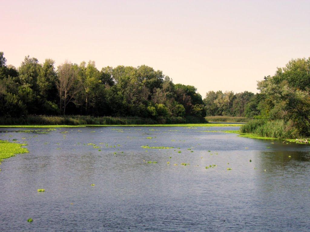 Коропове з panoramio.com - Коропово