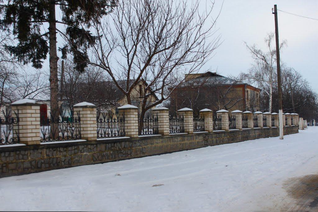 Осіївка з panoramio.com - Осіївка