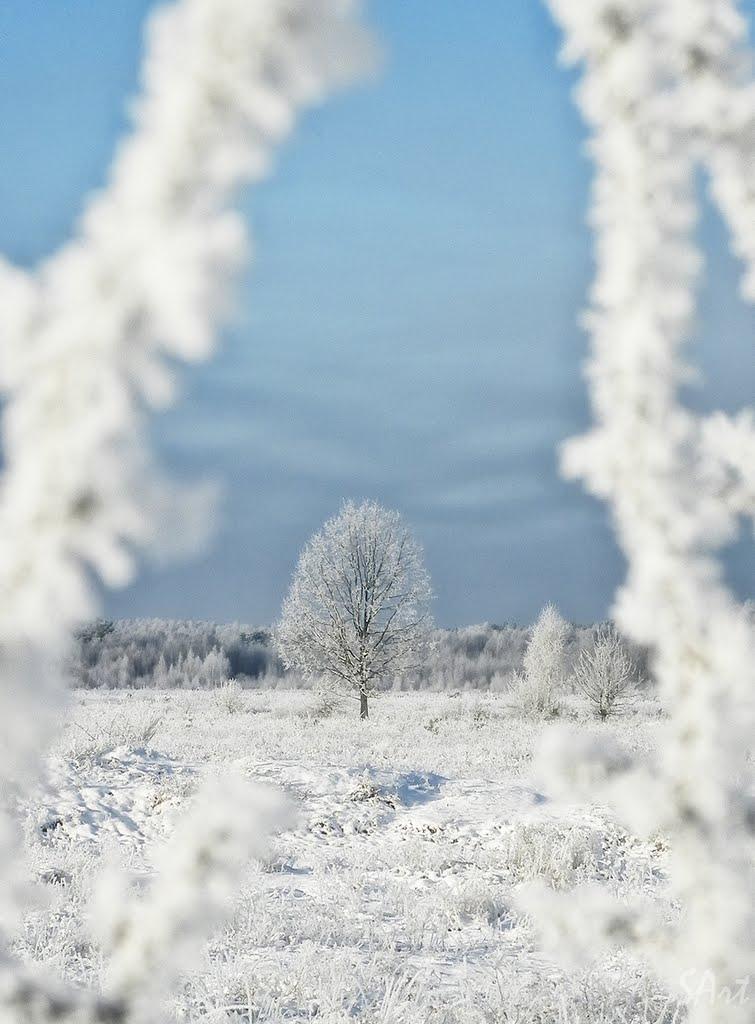 Грибова Рудня з panoramio.com - Грибова Рудня