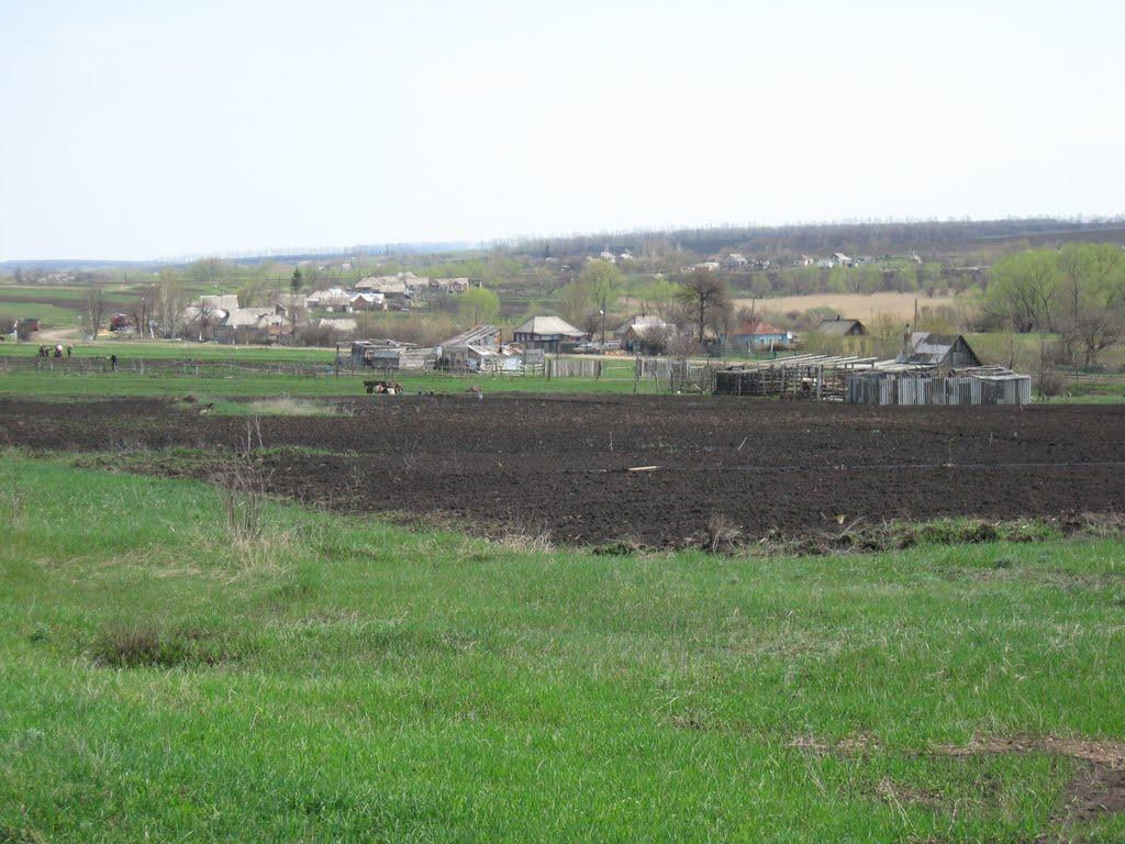 Великий Бурлук з panoramio.com - Великий Бурлук