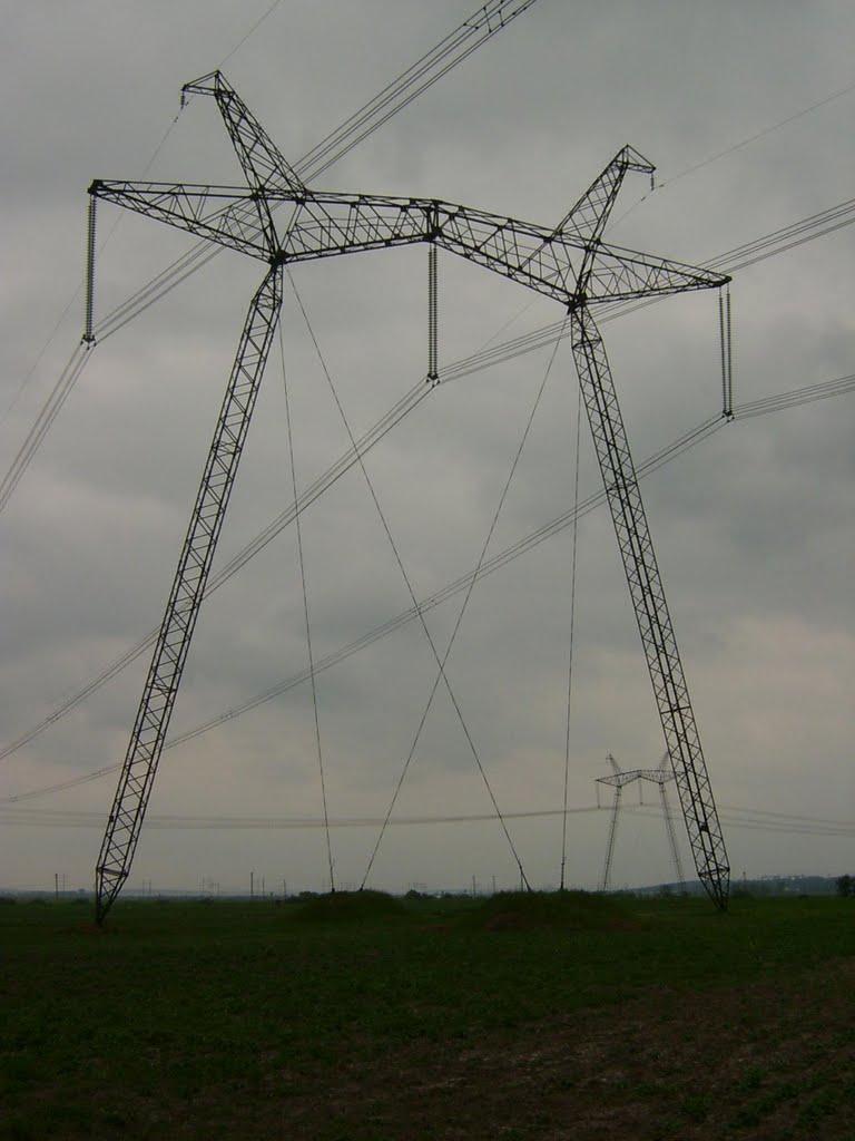 Заболоття з panoramio.com - Заболоття