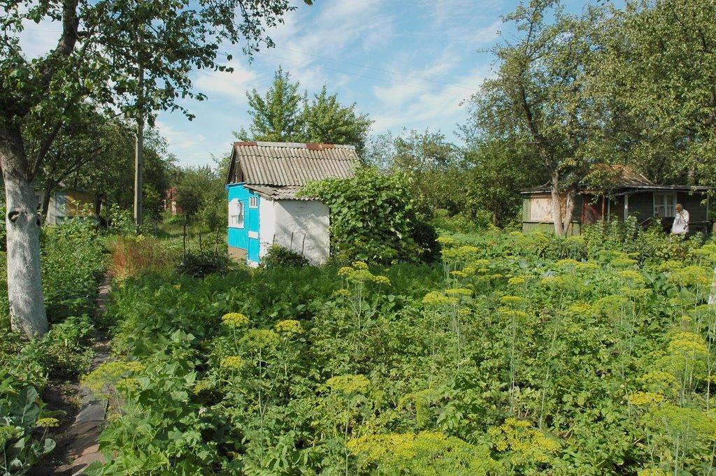 Шостка з panoramio.com - Шостка