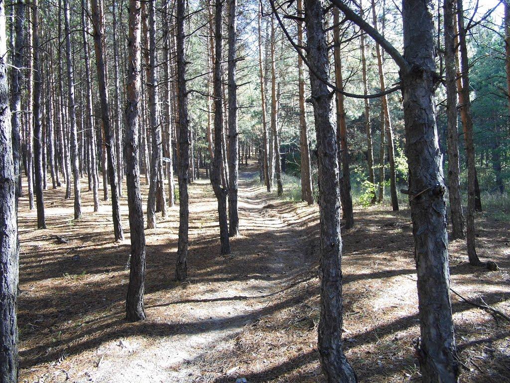 Богородичне з panoramio.com - Богородичное