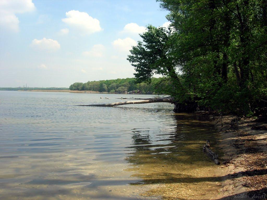 Вільне з panoramio.com - Вольное