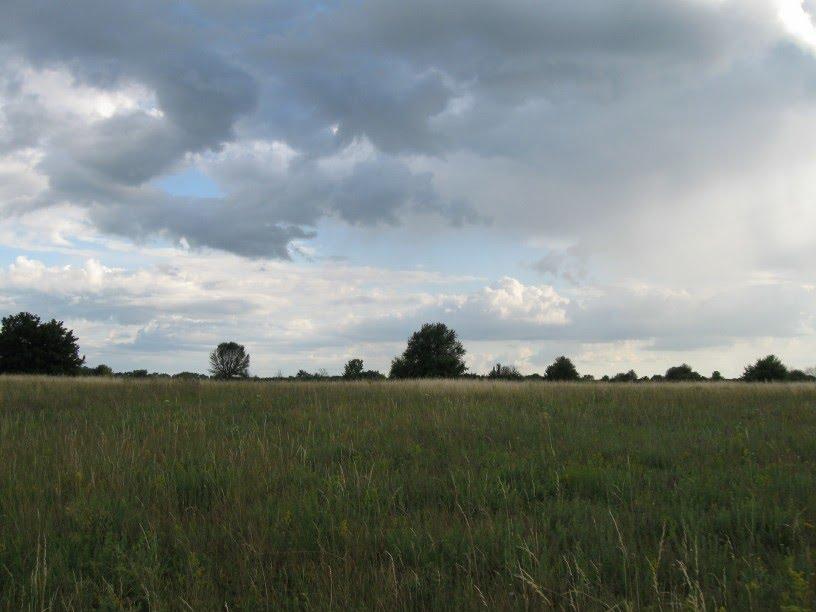 Дружне з panoramio.com - Дружне